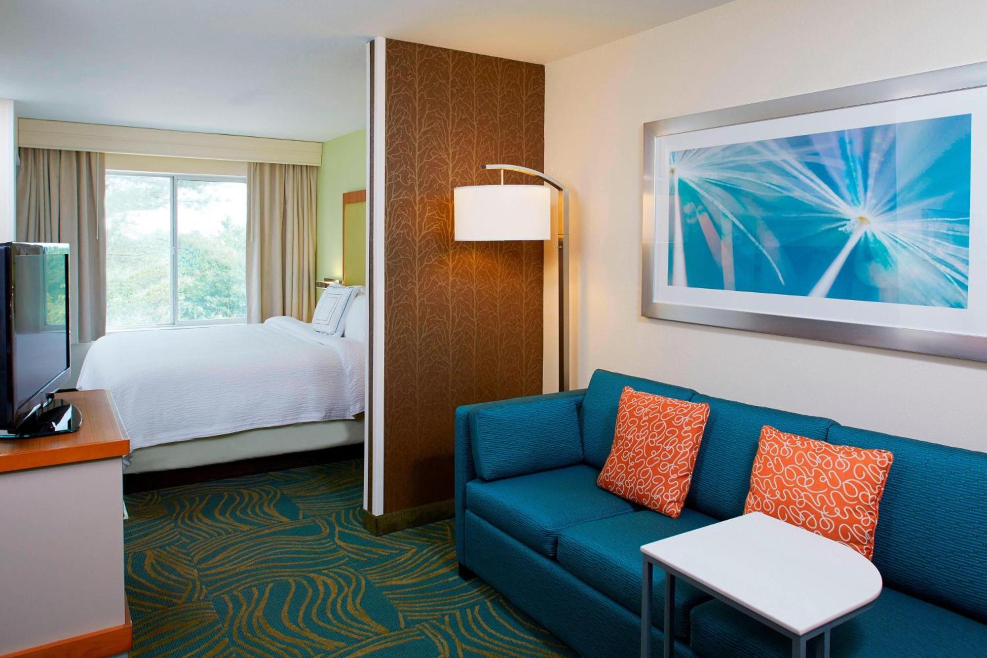 Springhill Suites By Marriott Atlanta Six Flags Lithia Springs Exteriér fotografie