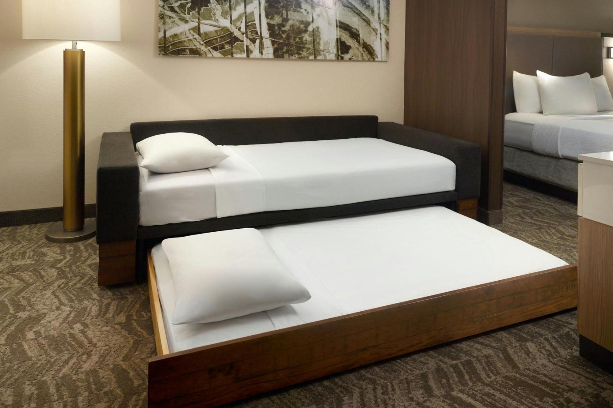 Springhill Suites By Marriott Atlanta Six Flags Lithia Springs Exteriér fotografie